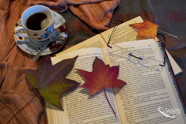 Maple tree leaves lying on a book next to a cup of coffee