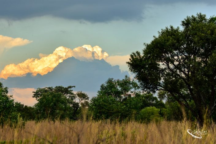 Cloud at sunset in the Bushveld
