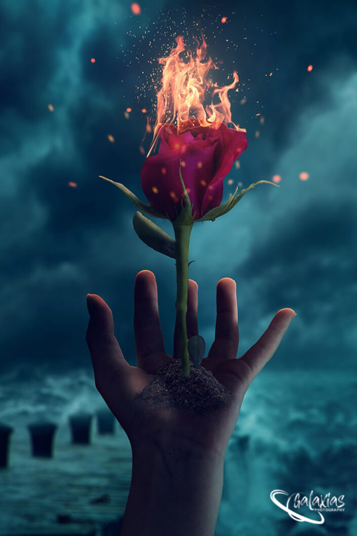 Showing the four elements of nature in one image